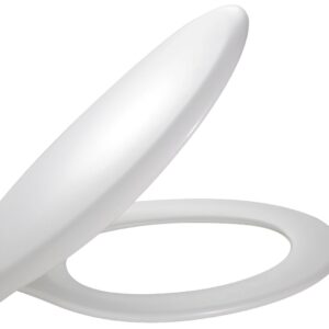 Abattant jacob delafon brive avec charnières métal blanc, réf. disponible abidjan cote d'ivoire.