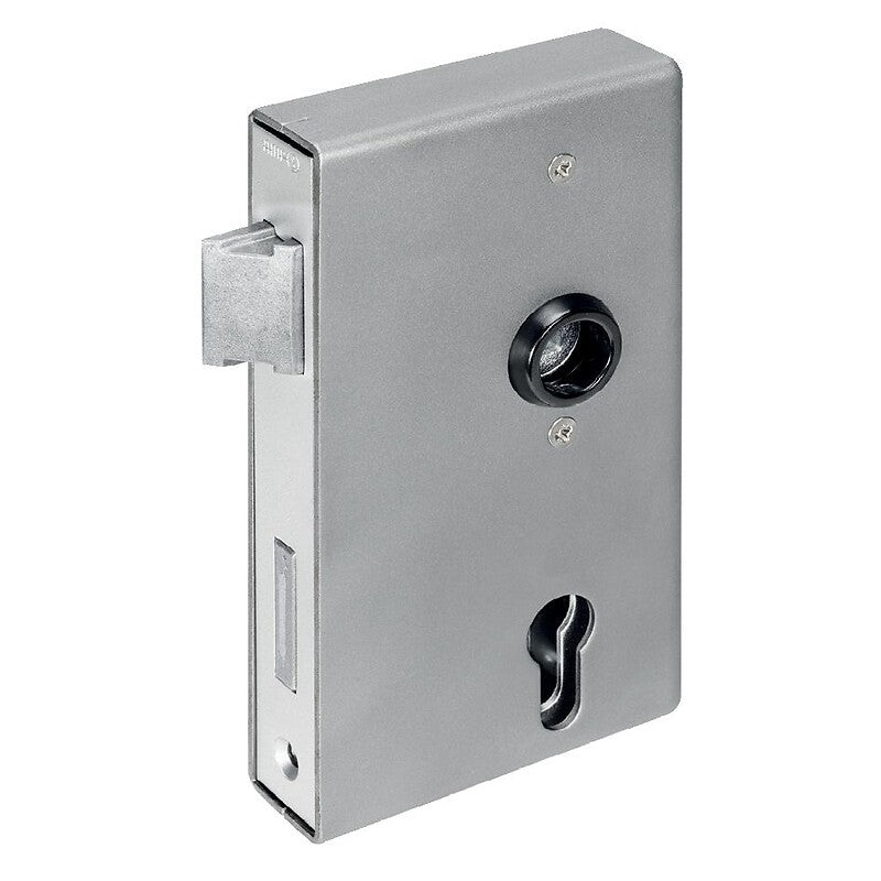 Boîtier avec serrure à larder de grille type amf 140u axe 60 entraxe 72 mm mm carré 8 mm réversible boîtier 173 x 94,5 x 50 mm. disponible abidjan cote d'ivoire.