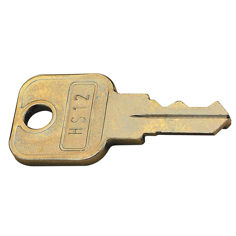 Clé passe générale pour cylindres interchangeables z 23 ø18. disponible abidjan cote d'ivoire.