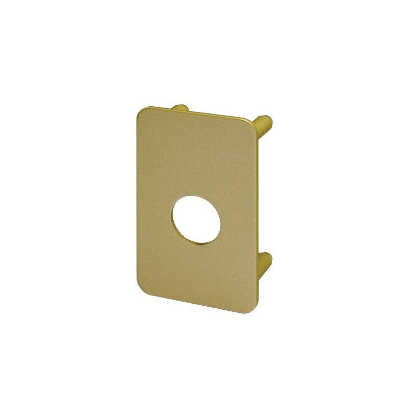 Contre-plaque pour verrou radialis. disponible abidjan cote d'ivoire.