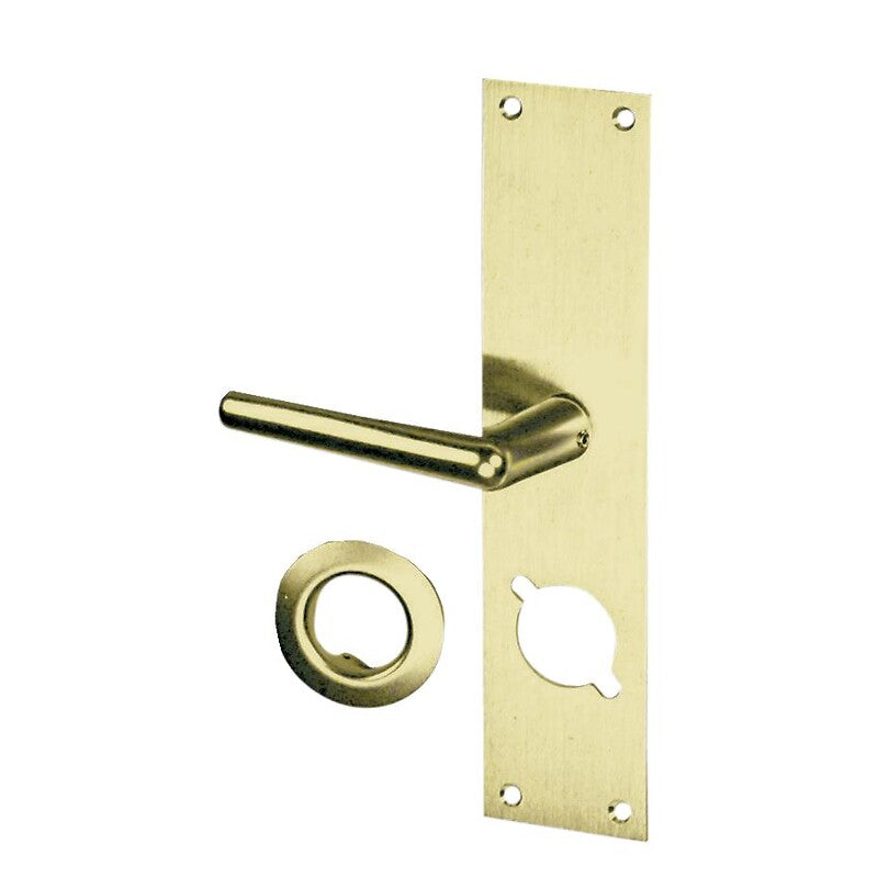 Plaque laiton poli de palières avec béquille pour serrure en applique de haute sécurité 3 points hb3 a2p***. disponible abidjan cote d'ivoire.