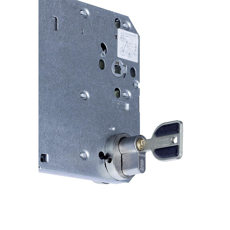 Protecteur de cylindre a2p* sgn1 pour serrure 5000/5900 xl épaisseur 38 à 59 mm. disponible abidjan cote d'ivoire.