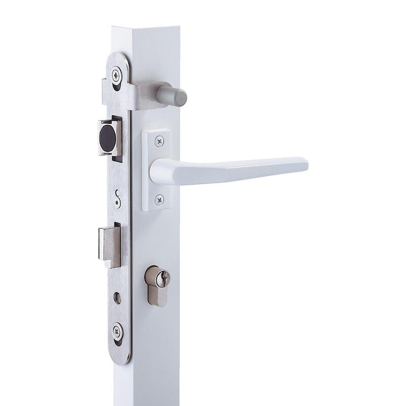 Serrures pêne dormant et demi-tour axe 24 mm 2268 pour portillon de piscine. disponible abidjan cote d'ivoire.