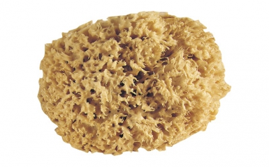 Éponge naturelle pro - gerbis - brute 1er choix - ø 16 cm. disponible abidjan cote d'ivoire.