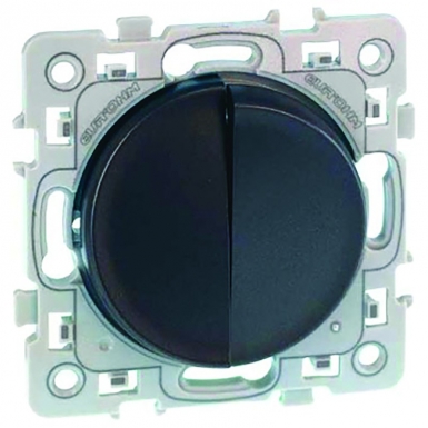 Double va-et-vient 10ax - 250 v~ à bornes auto - anthracite. disponible abidjan cote d'ivoire.