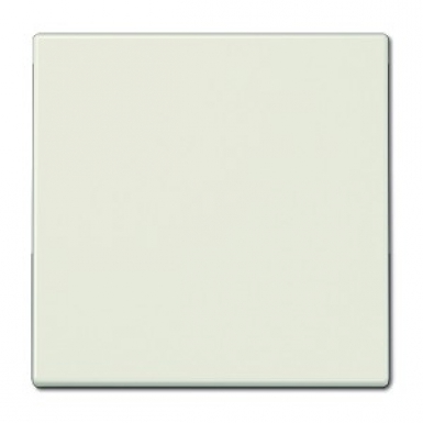 Enjoliveur simple touche ivoire. disponible abidjan cote d'ivoire.