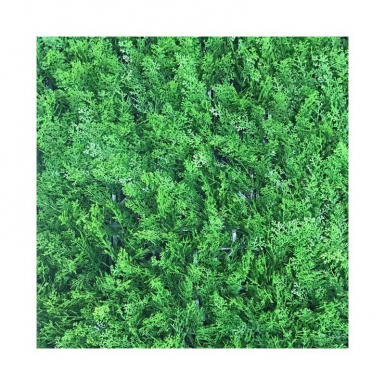 Feuillage artificiel thuya - garanti 10 ans anti-feu et anti-uv - plaque de 1 m2. disponible abidjan cote d'ivoire.