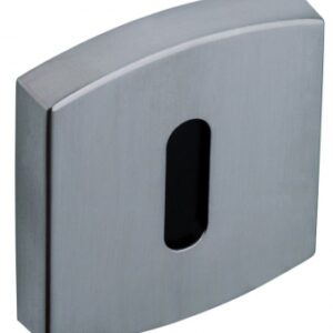 Jeu de 2 rosaces de fonction - finition platine - clé i​ ​. disponible abidjan cote d'ivoire.