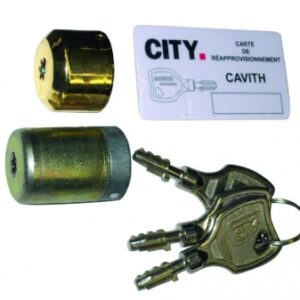Jeu de cylindres cavith pour serrures multipoints cavith a2p**, 3 clés. disponible abidjan cote d'ivoire.