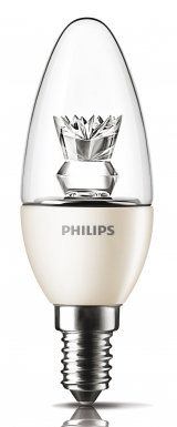 Mast. disponible abidjan cote d'ivoire.