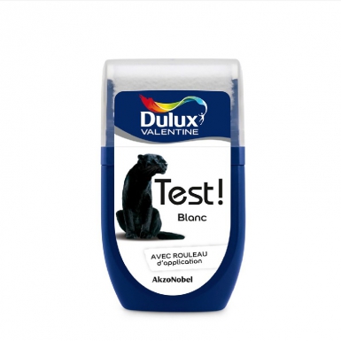 Peinture test! - crème de couleur - testeur 30 ml - galet. disponible abidjan cote d'ivoire.