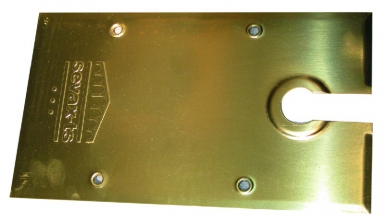 Plaque de recouvrement standard tsa / tsp 309 x 180 mm - laiton poli. disponible abidjan cote d'ivoire.