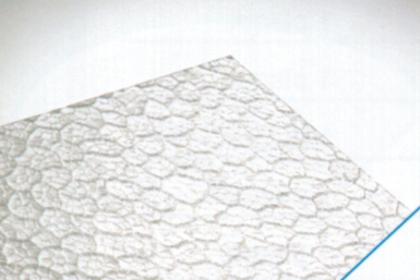 Robexglas nid d'abeille 1 face lisse ép. disponible abidjan cote d'ivoire.