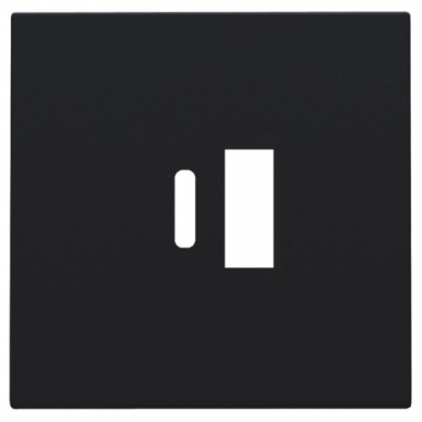 Set de finition pour double chargeur usb-a et usb-c intelligent - couleur de finition: black coated. disponible abidjan cote d'ivoire.