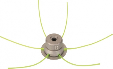 Tete debrouss. disponible abidjan cote d'ivoire.